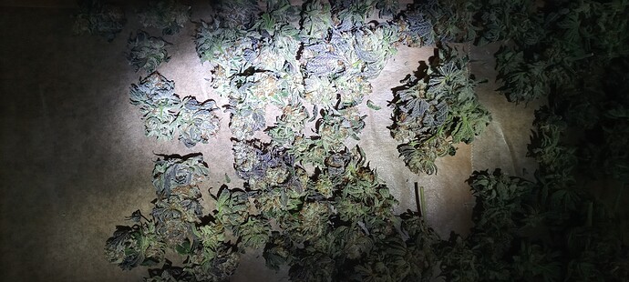 Growreport Bild 20