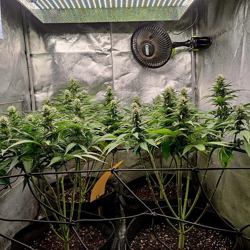 Growreport Bild 14