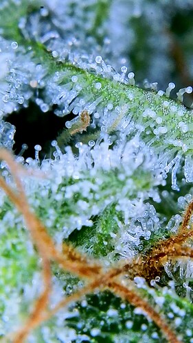 Growreport Bild 26
