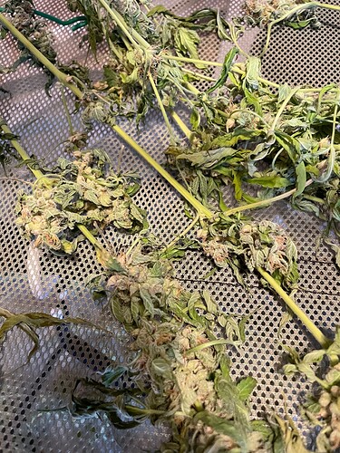 Growreport Bild 6