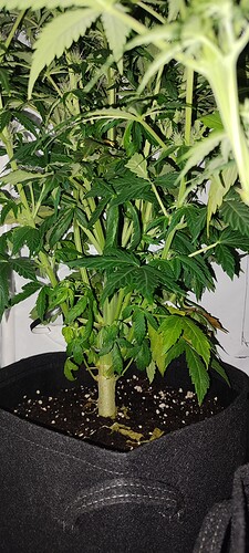 IMG_20221126_212920