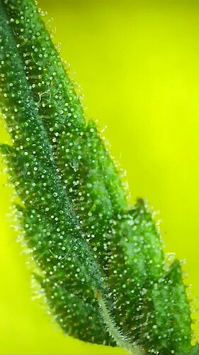 2022_03_31_16_38_57_297