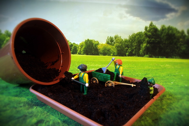 Growreport Bild 7