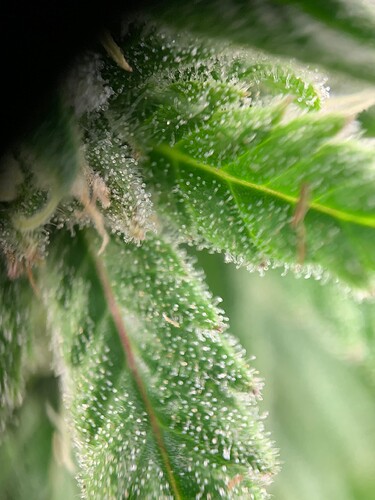 Growreport Bild 14