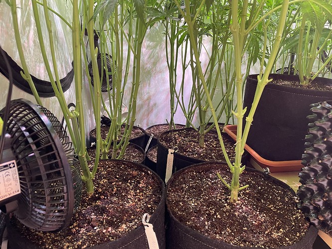 Growreport Bild 2