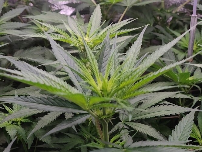 Growreport Bild 17