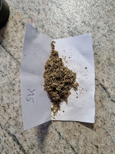 Growreport Bild 4