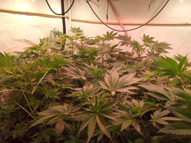 Growreport Bild 22