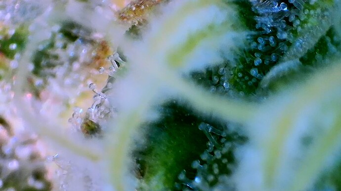 Growreport Bild 11