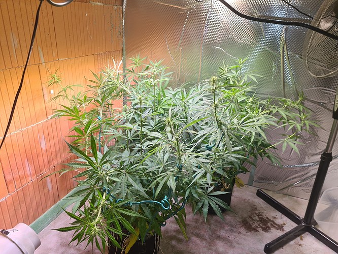 Growreport Bild 17