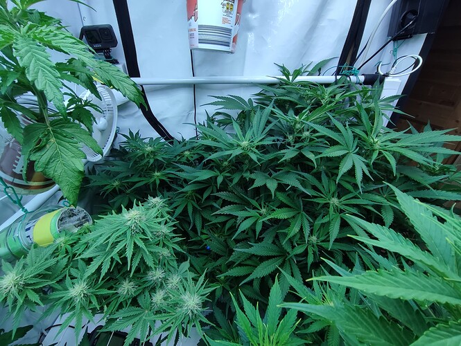 Growreport Bild 17