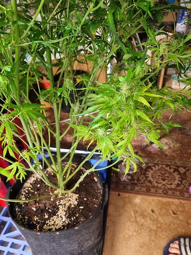 Growreport Bild 11