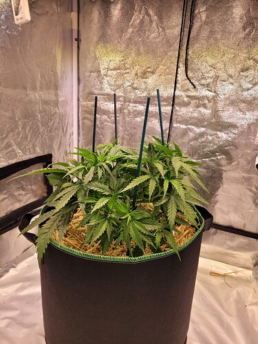 Growreport Bild 6