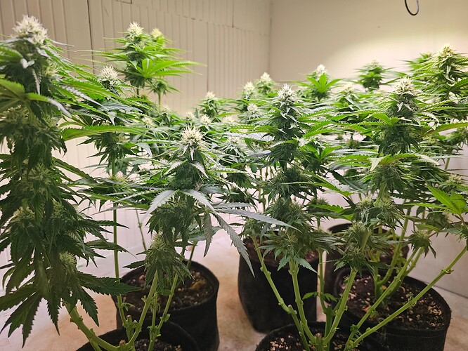 Growreport Bild 24