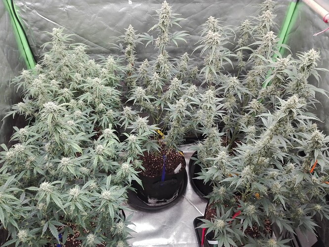 Growreport Bild 14