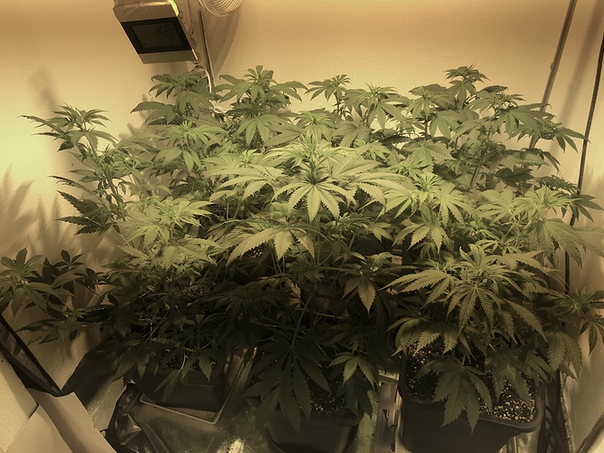 Growreport Bild 24