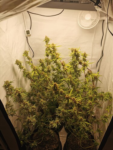 Growreport Bild 3