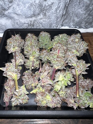 Growreport Bild 2