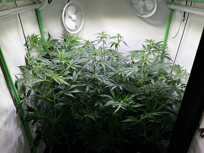 Growreport Bild 1