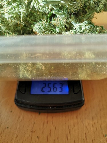 Growreport Bild 16