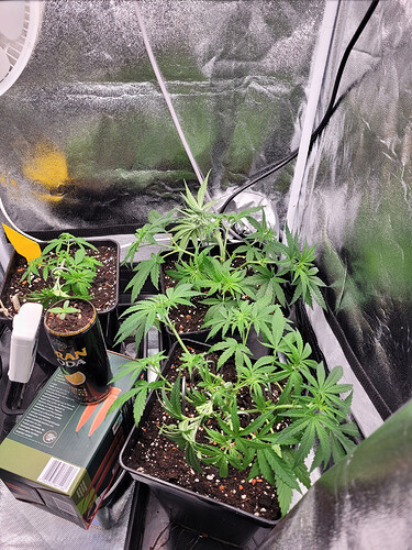 Growreport Bild 15