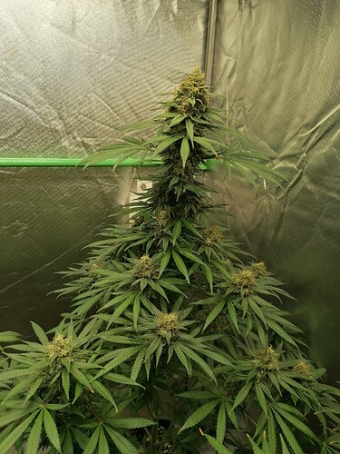 Growreport Bild 14