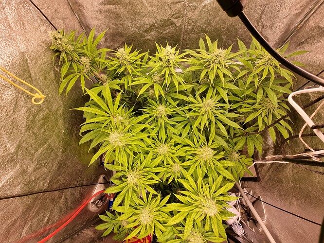 Growreport Bild 4