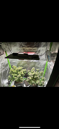 Growreport Bild 8