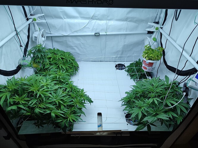 Growreport Bild 1