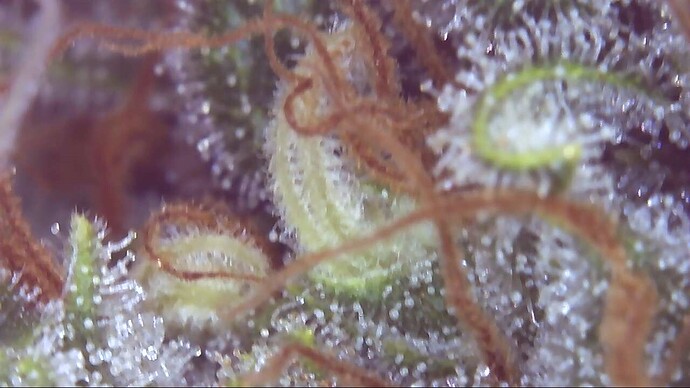 Growreport Bild 17