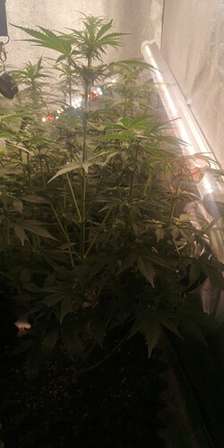 IMG_20240102_120429