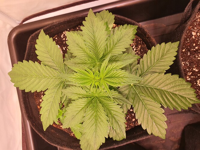 Growreport Bild 19