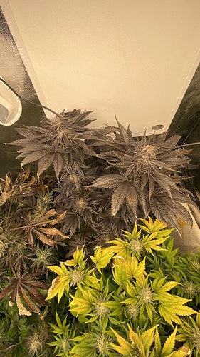 Growreport Bild 12