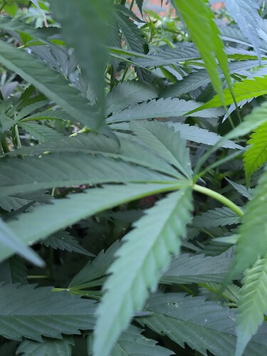 Growreport Bild 16