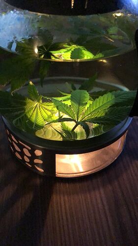 Growreport Bild 10