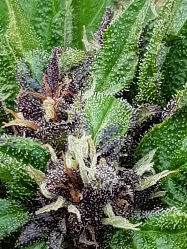20200702_202742