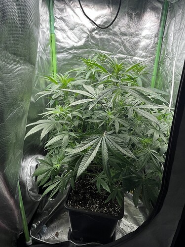 Growreport Bild 10