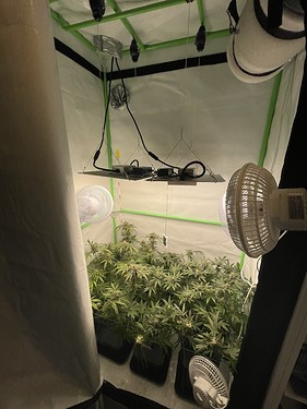 Growreport Bild 21