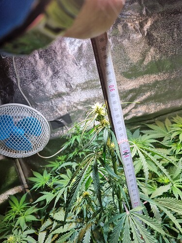 Growreport Bild 15