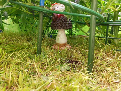 Growreport Bild 12