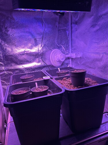 Growreport Bild 11