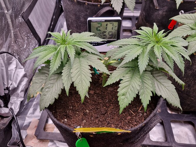 Growreport Bild 44