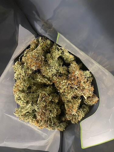 Growreport Bild 6