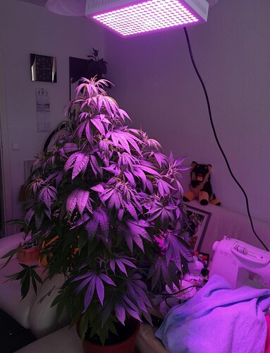 Screenshot_20230227_190501