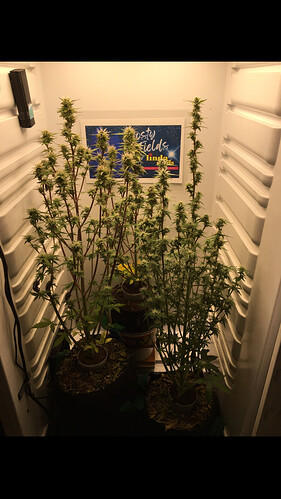 Growreport Bild 10