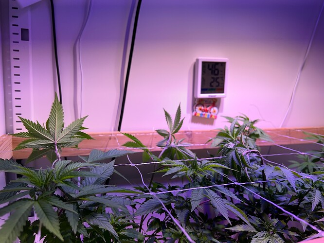 Growreport Bild 5
