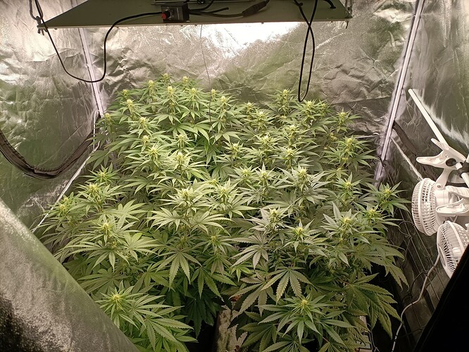 Growreport Bild 10