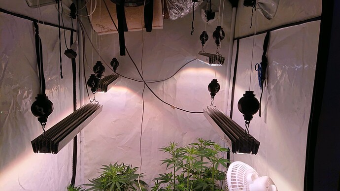 Growreport Bild 5