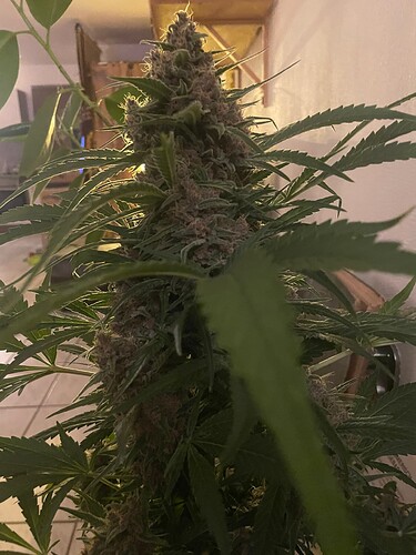 Growreport Bild 16