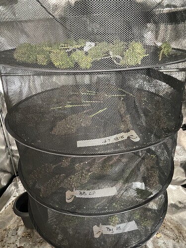 Growreport Bild 9
